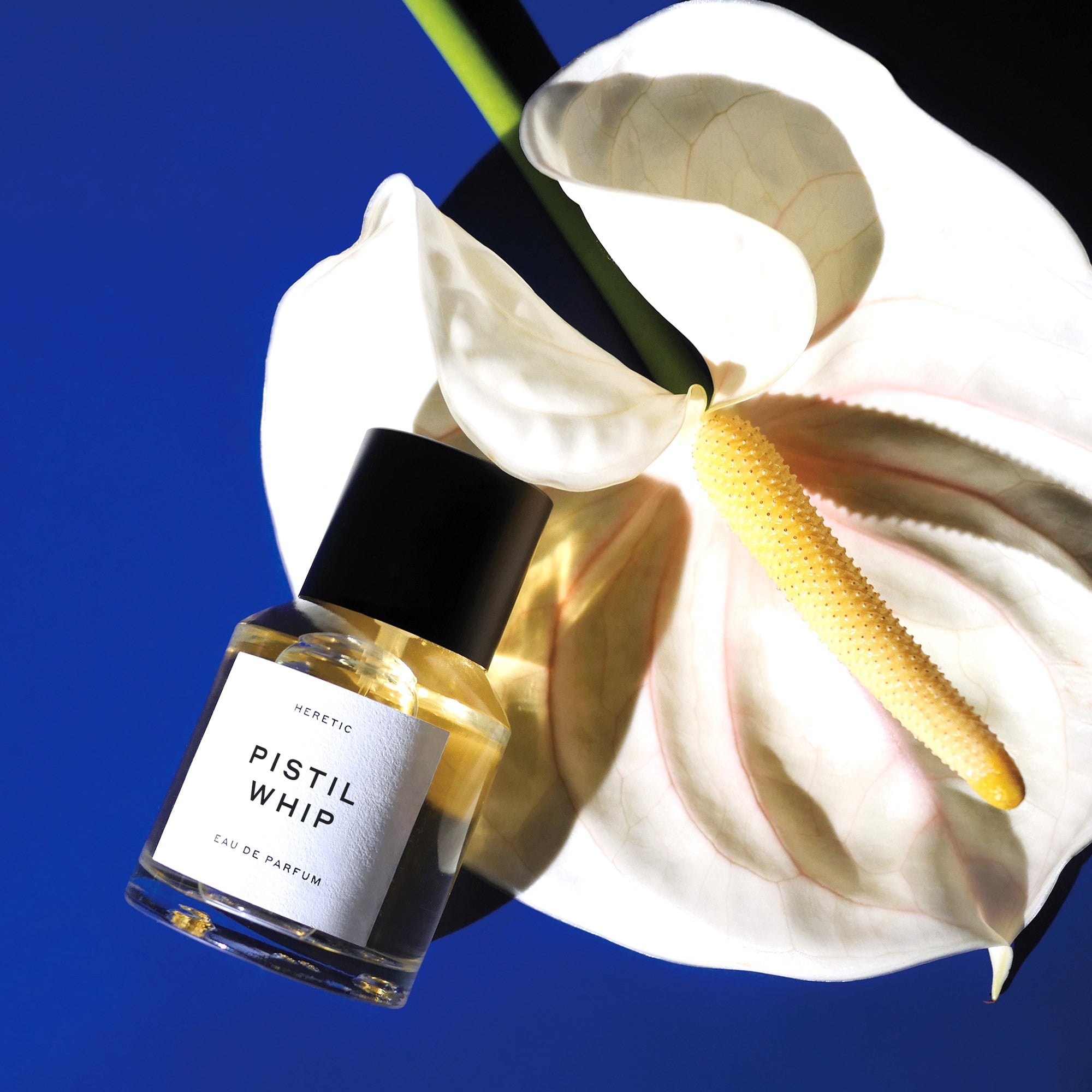 HERETIC PISTIL WHIP 50ml 【公式通販】